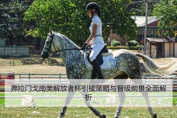 弗拉门戈南美解放者杯引援策略与晋级前景全面解析